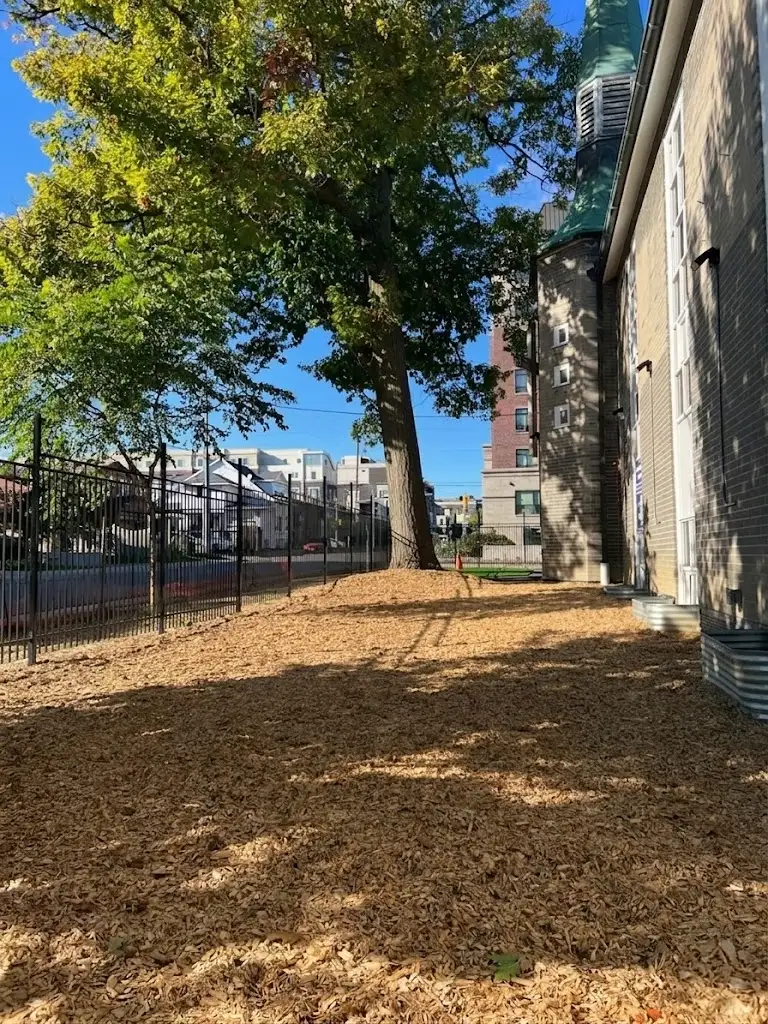 Shaded yard with mulch and mature trees