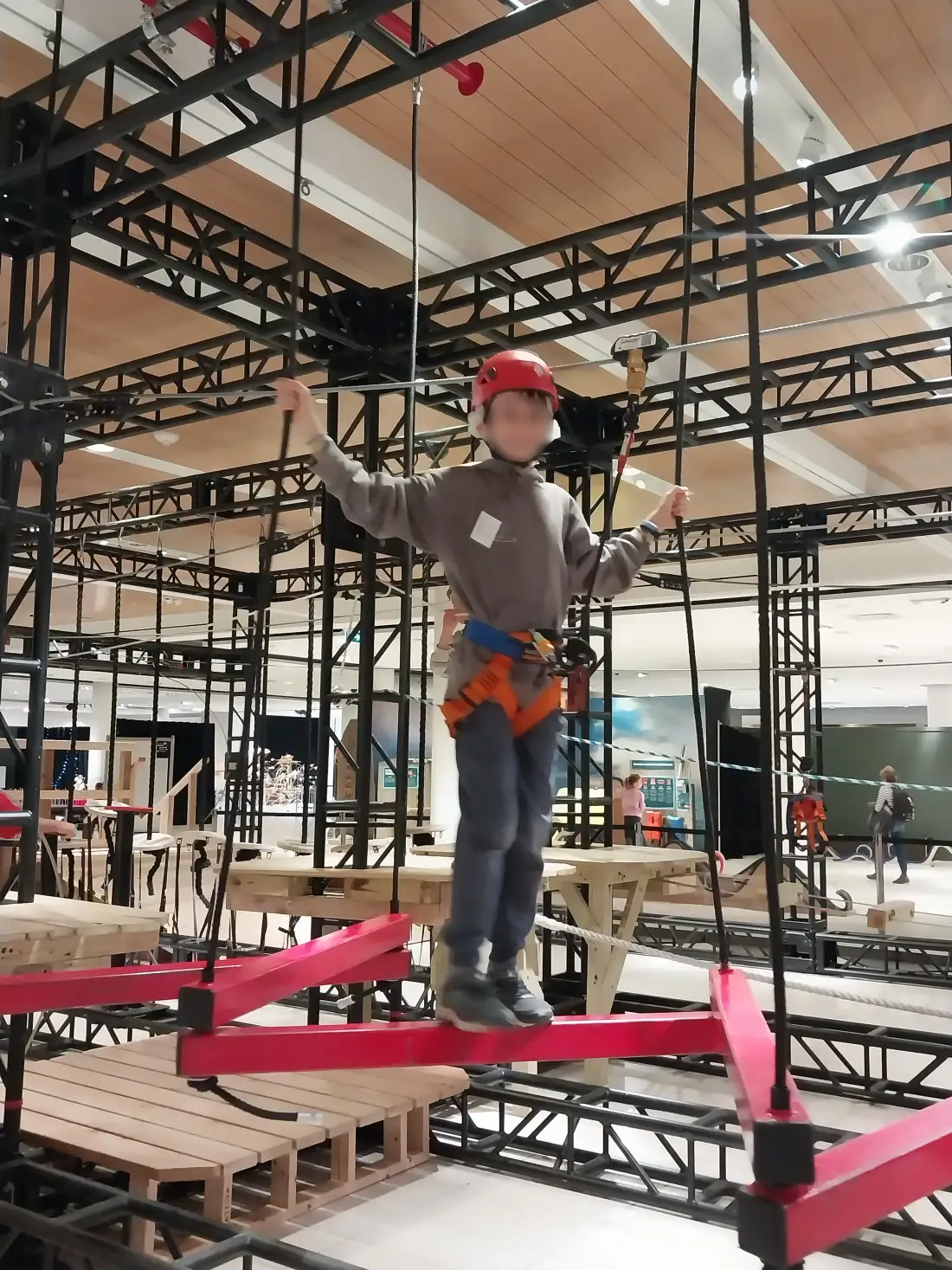 Child on an aerial adventure ropes course