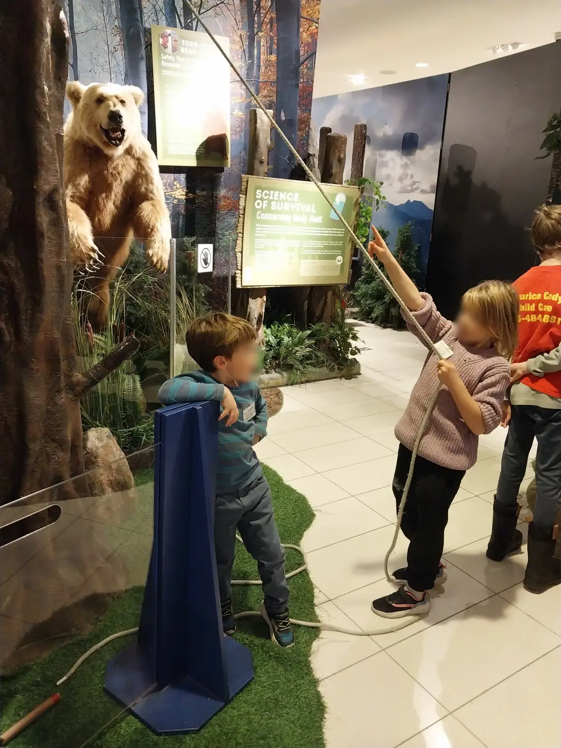 Children exploring a nature exhibit at the museum